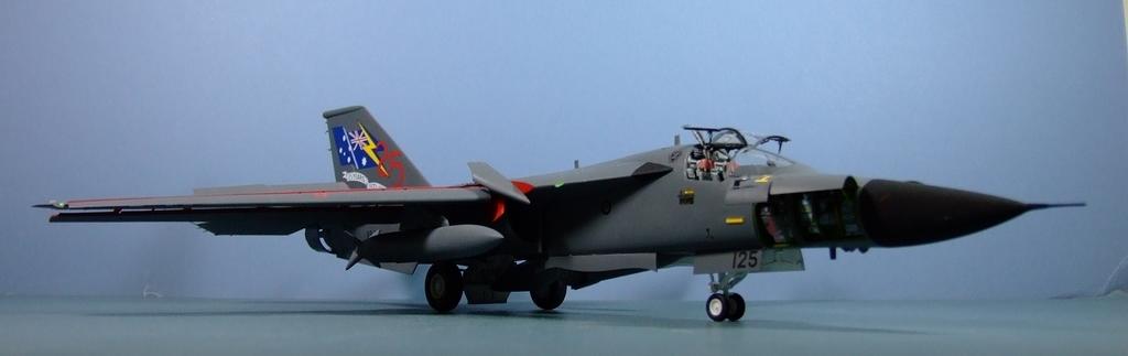 General Dynamics F-11C, RAAF, 1:48