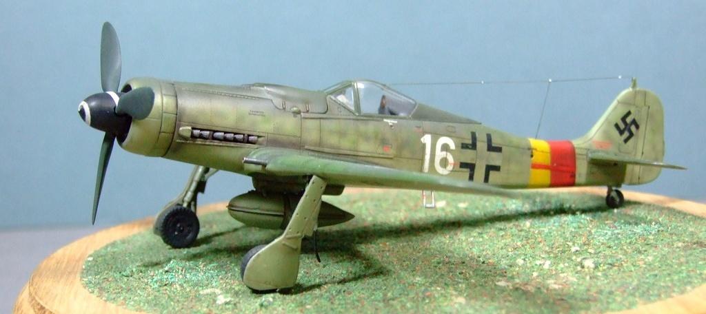 Focke-Wulf Fw190D, 1:72