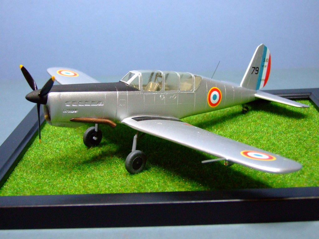 SIPA 10 (Arado Ar396)