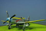 Mustang IVA, 19 Sqn