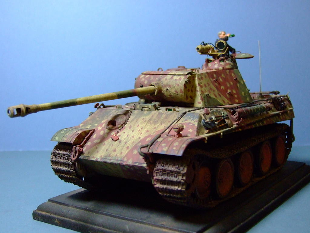 Night fighting Panther