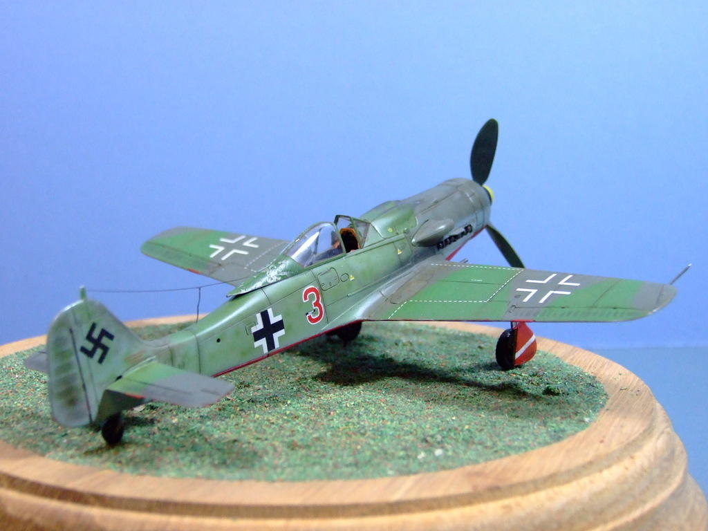 Fw190D