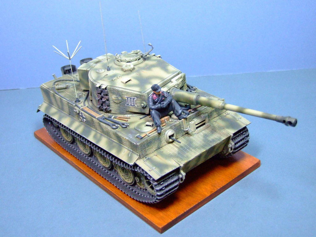 Tiger, SPzAbt 503