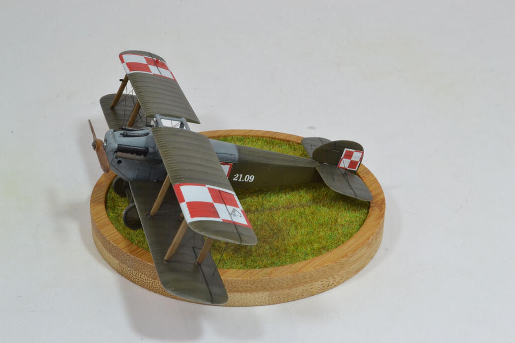 Sopwith 5F1 Dolphin, Polish Air Force 1920