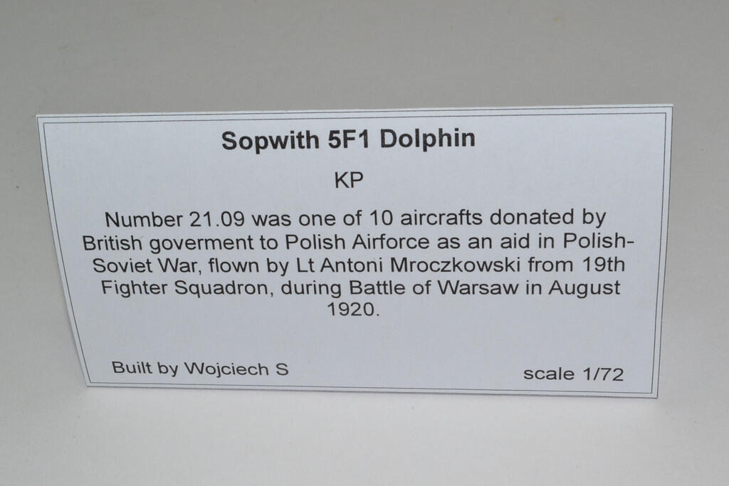 Sopwith 5F1 Dolphin, Polish Air Force 1920