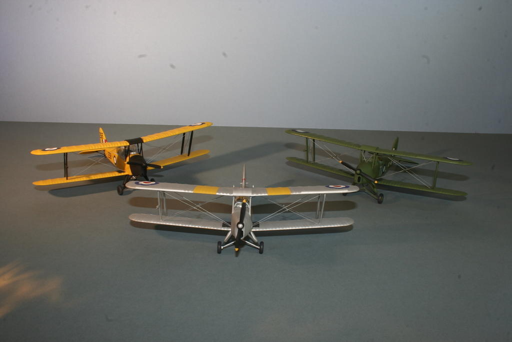 Tiger Moths