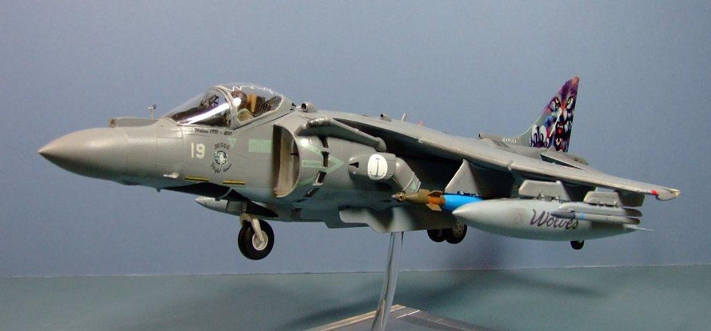 AV-8B Harrier II+, IGA5, Marina Militare, 1:48