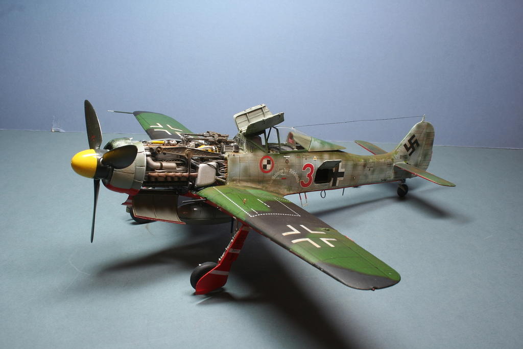 FW 190D