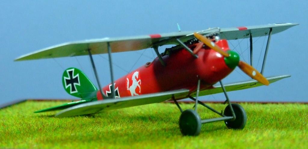 Pfalt D.IV, 1:72