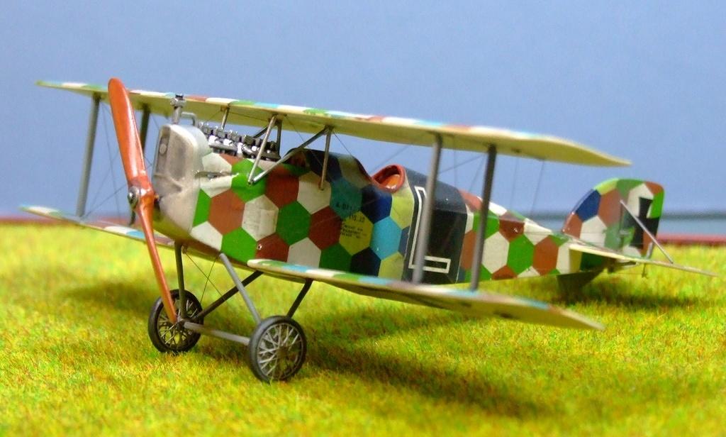 Aviatik (Berg) D1, 1:72