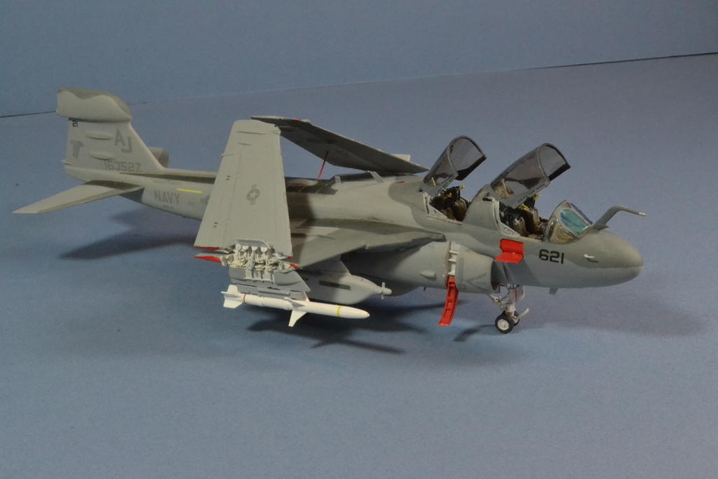 EA-6B Prowler 