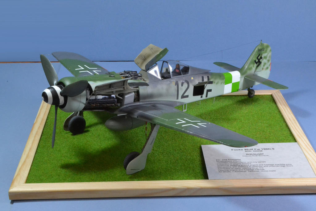 FW109 D-9 1/24 Trumpeter