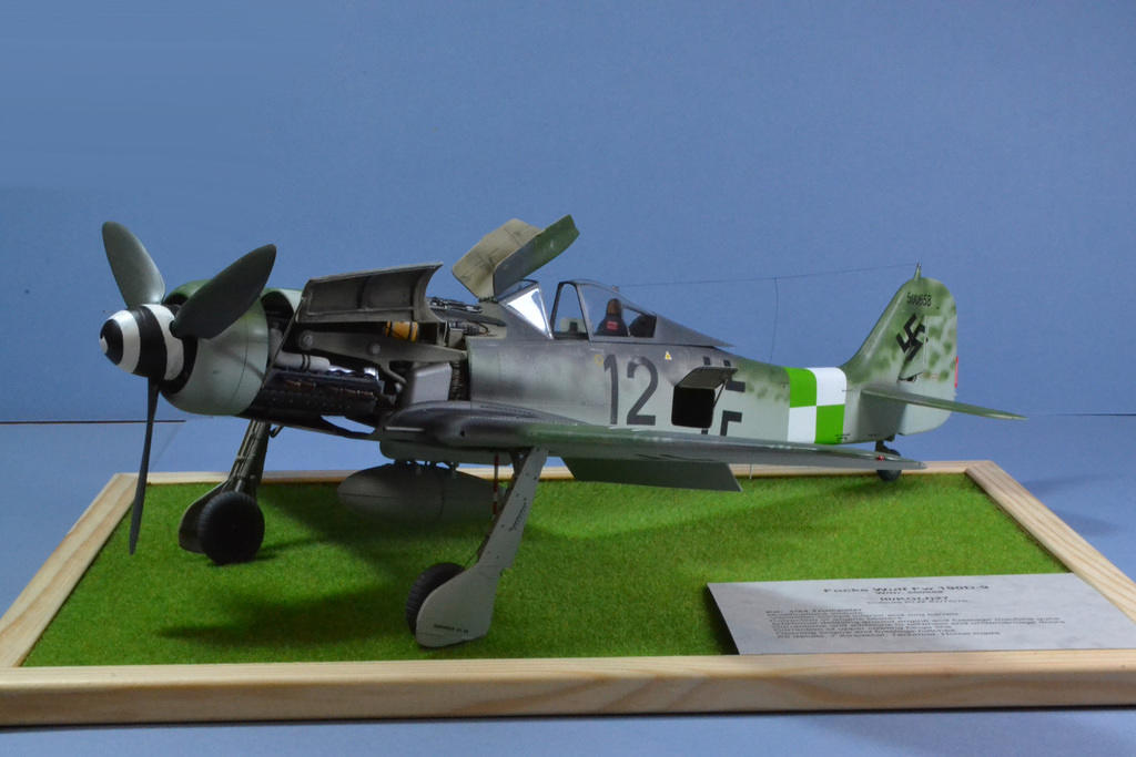 FW109 D-9 1/24 Trumpeter