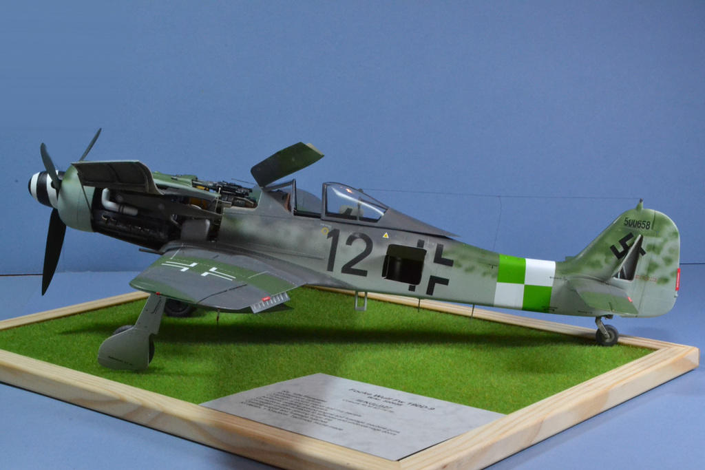 FW109 D-9 1/24 Trumpeter