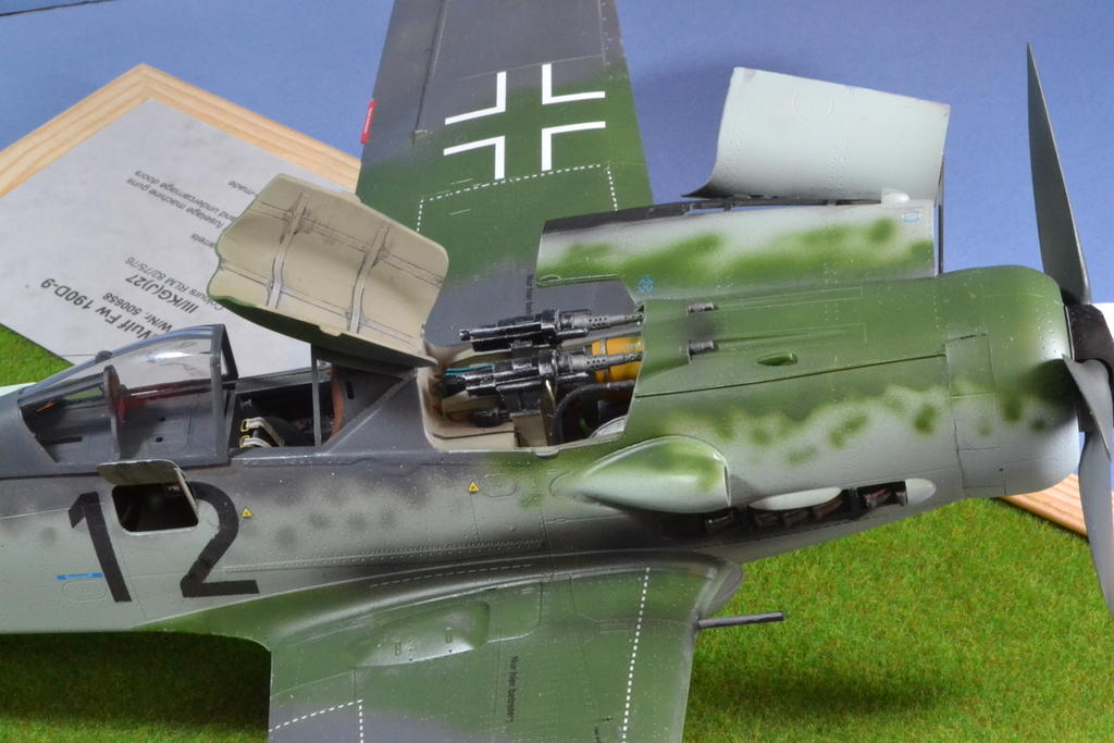 FW109 D-9 1/24 Trumpeter