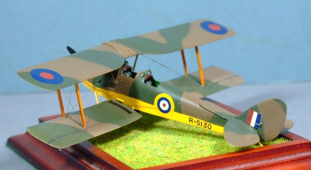 De Havilland Tiger Moth, RAF, 1:72