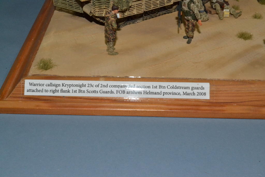 Warrior - Coldstream Guards Diorama