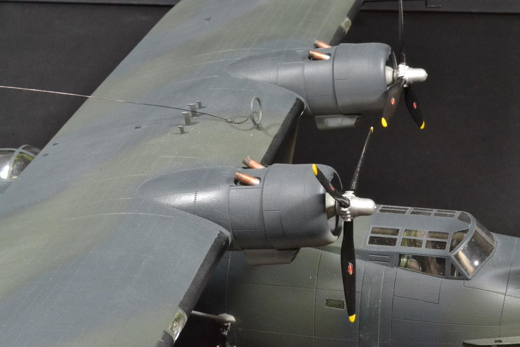 Catalina 1 DBY 5, 209 Sqn RAF May '41