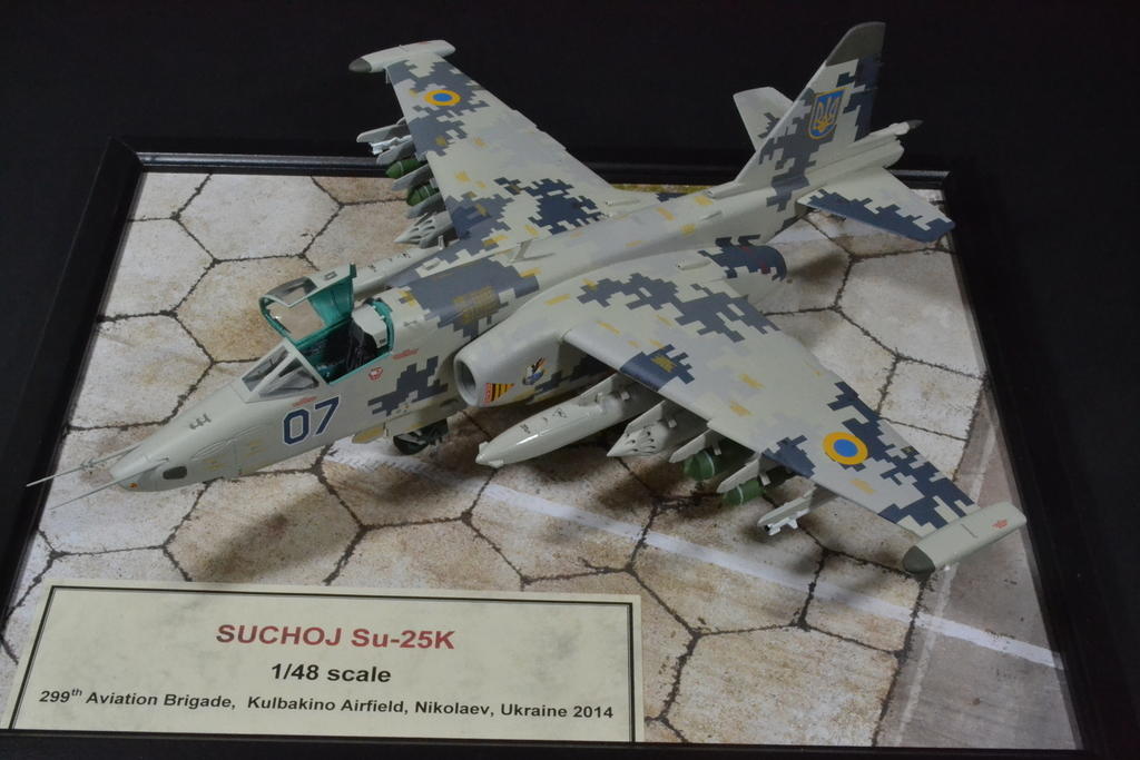 Suchoj Su-25