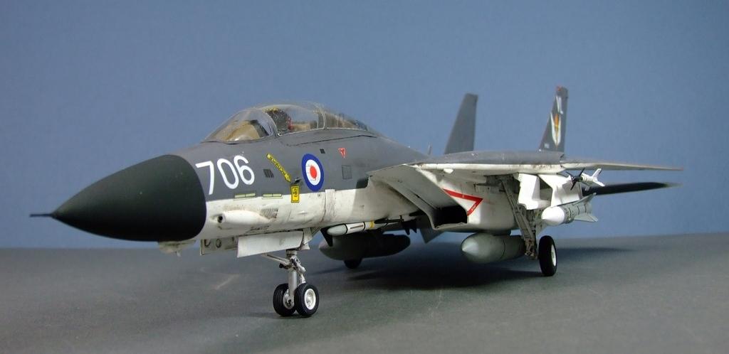 Tomcat FRS.1A, Royal Navy, 1:48