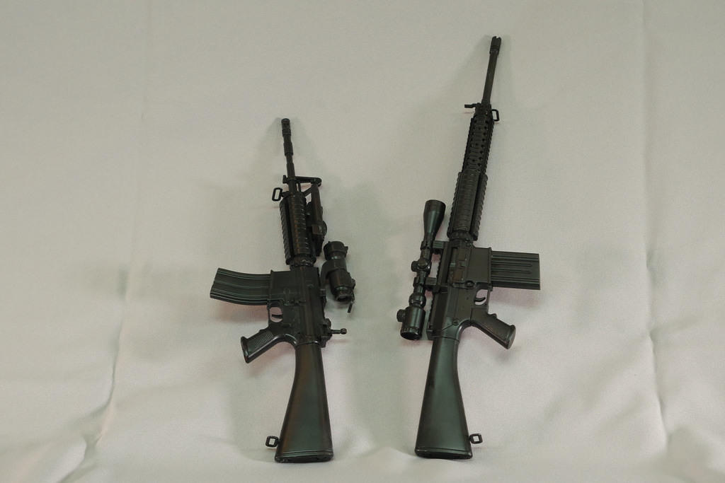 AR15 & M16