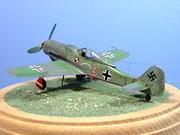 Fw190D