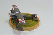 Sopwith 5F1 Dolphin, Polish Air Force 1920