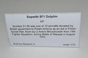 Sopwith 5F1 Dolphin, Polish Air Force 1920