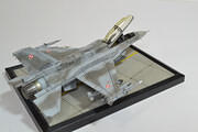 F-16D Block 52+