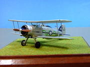 Gloster Gladiator