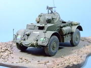 Staghound