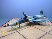 F-5E Aggressor
