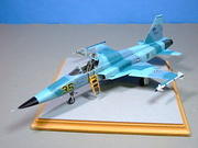 Northrop F5E Aggressor