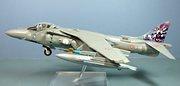 AV-8B Harrier II+, IGA5, Marina Militare, 1:48