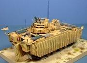 Warrior TES, Afghanistan, 1:48