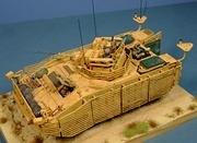 Warrior TES, Afghanistan, 1:48