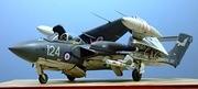 De Havilland Sea Vixen FAW.2, 899 Sqn, FAA, 1:48