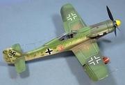 Focke-Wulf Fw190D-9, JG44, 1945, 1:48