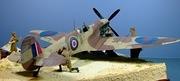 Spitfire IXc, 81 Sqn RAF, Tunisia 1943, 1:32