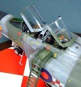 Phantom FGR.2, 56 Sqdn, RAF, 1:48