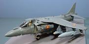 McDonnell Douglas EAV-8B Harrier II+, Escuadrilla 9, Spanish Navy, 1:48