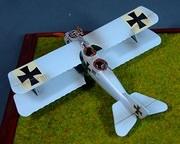 LGF Roland C.II,  Imperial German Air Service, 1:72