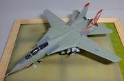 Grumman F-14A Tomcat, VF-111, US Navy, 1:72