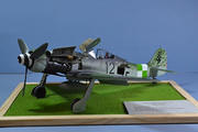 FW109 D-9 1/24 Trumpeter