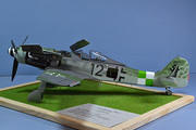 FW109 D-9 1/24 Trumpeter