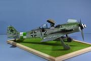 FW109 D-9 1/24 Trumpeter