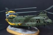 Chinook HC4, 28 Sqn Centenary