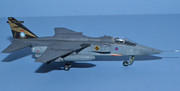 Specat Jaguar GR.3 - 16 Sqn, RAF Coltisall, 2005