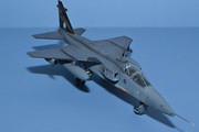 Specat Jaguar GR.3 - 16 Sqn, RAF Coltisall, 2005