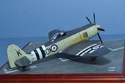 Hawker Sea Fury FB.11